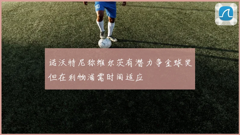 诺沃特尼称维尔茨有潜力争金球奖但在利物浦需时间适应